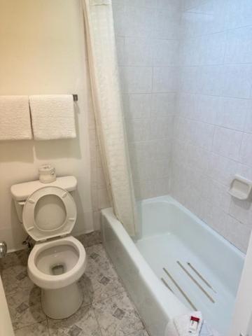 Executive Inn Mercedes Weslaco 외부 사진